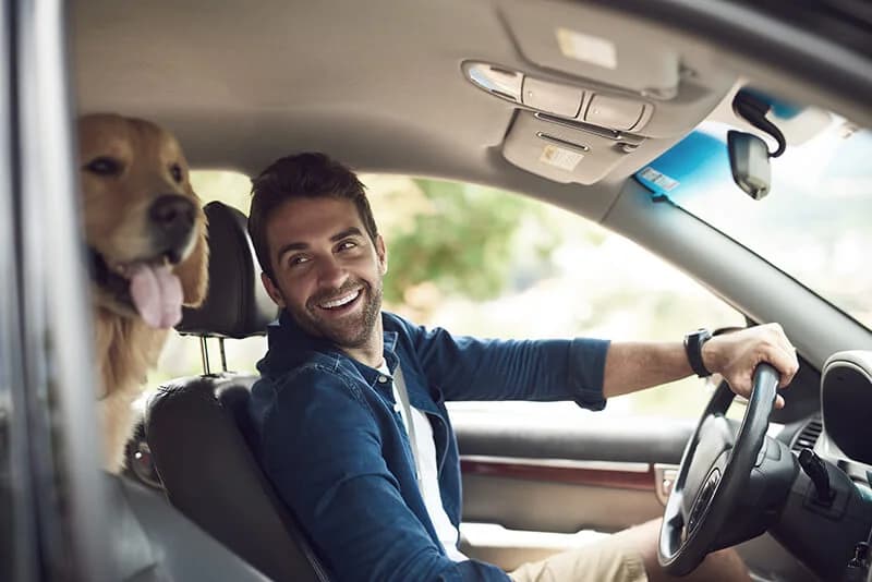 A smiling driver glances back at a happy golden retriever in the car on a sunny day.